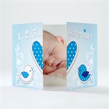 Faire-part naissance réf. N70110