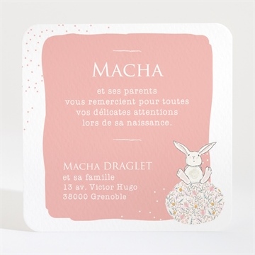 Remerciement naissance tendre lapin