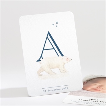 Faire-part naissance bel ours