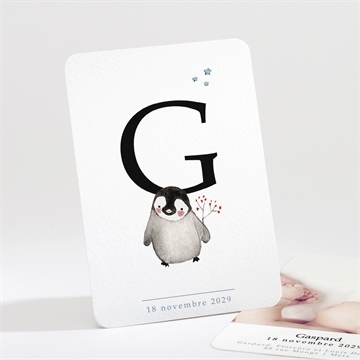 Faire-part naissance pingouin