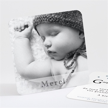 Remerciement naissance pingouin