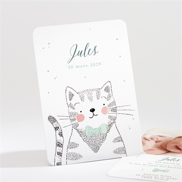 Faire-part naissance mon petit chat