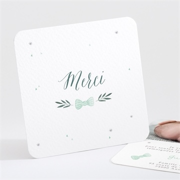 Remerciement naissance mon petit chat