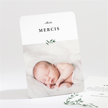 Remerciement naissance douceur végétale