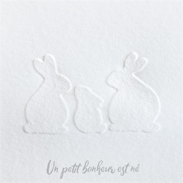 Faire-part naissance silhouettes - Détail du faire-part