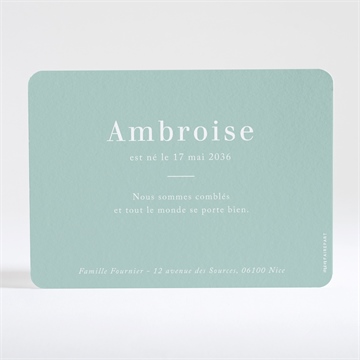 Faire-part naissance son petit nid - Dos du faire-part