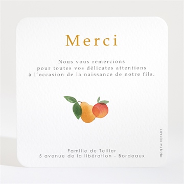 Remerciement naissance fruité - Dos de la carte