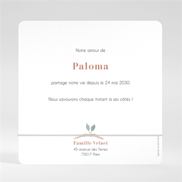 Faire-part naissance dans sa bulle - Dos du faire-part