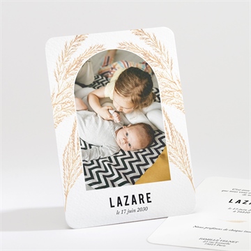 Faire-part naissance belle alcôve