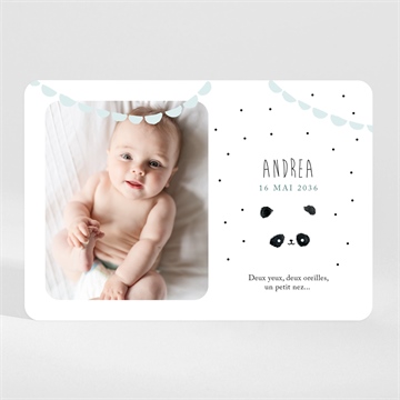 Faire-part naissance mon joli panda magnet