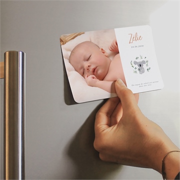 Faire-part naissance koala magnet - Mise en situation