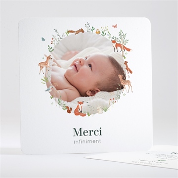 Remerciement naissance gaiement