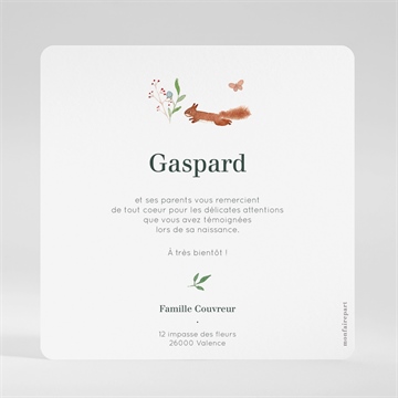 Remerciement naissance gaiement - Dos de la carte