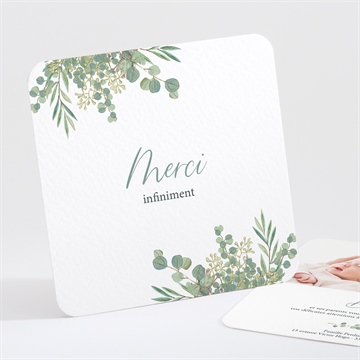 Remerciement naissance nouvelle printanière