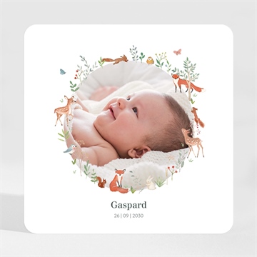 Faire-part naissance gaiement magnet