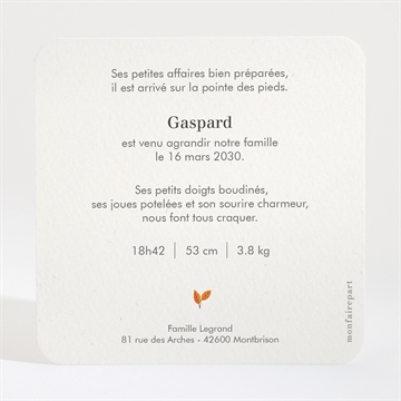 Faire-part naissance renard et animaux - Dos du faire-part