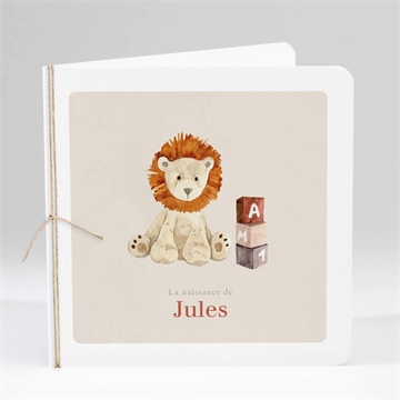 Faire-part naissance mon petit lion