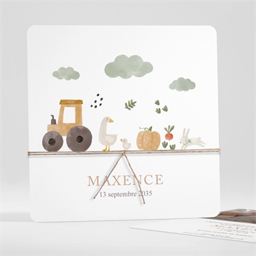 Faire-part naissance dans la ferme carré