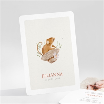 Faire-part naissance ma petite souris portrait