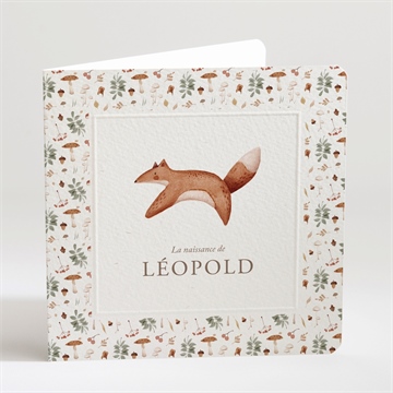 Faire-part naissance renard automne