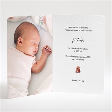 Faire-part naissance flocons de neige - Intérieur du faire-part