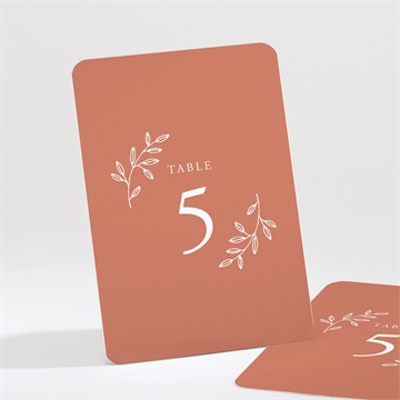 Numéro de table mariage douce terracotta avec graines