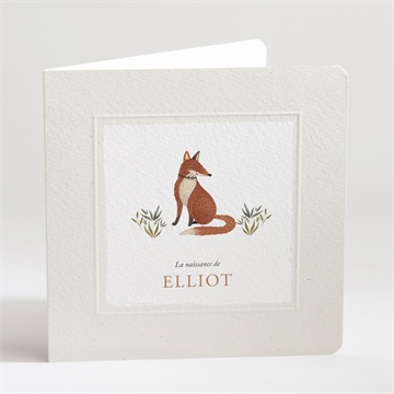 Faire-part naissance le conte du renard
