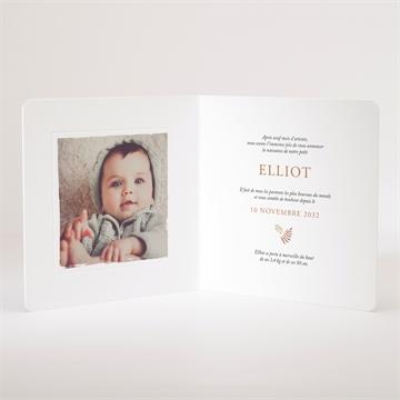 Faire-part naissance le conte du renard - Intérieur du faire-part