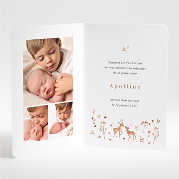 Faire-part naissance ronde de la forêt - Intérieur du faire-part
