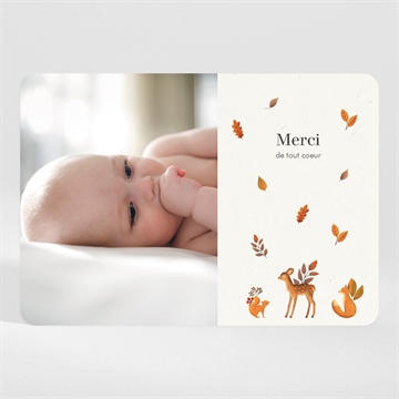 Remerciement naissance renard et animaux