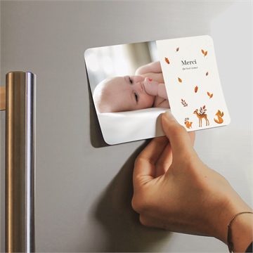 Remerciement naissance renard et animaux - Mise en situation