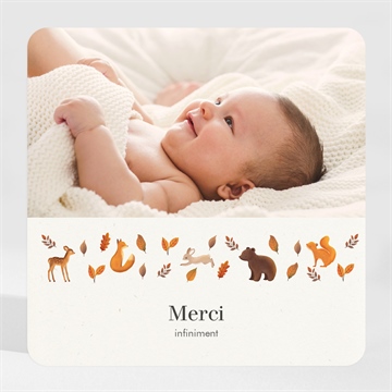 Remerciement naissance renard et animaux magnet