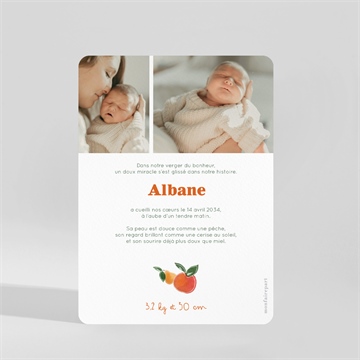 Faire-part naissance vichy fruité - Dos du faire-part