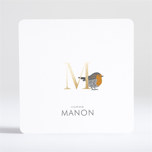 Faire-part naissance subtil rouge gorge