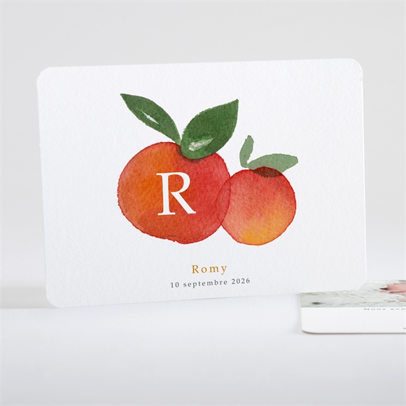 Faire-part naissance petits agrumes