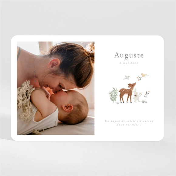 Faire-part naissance petits compères magnet