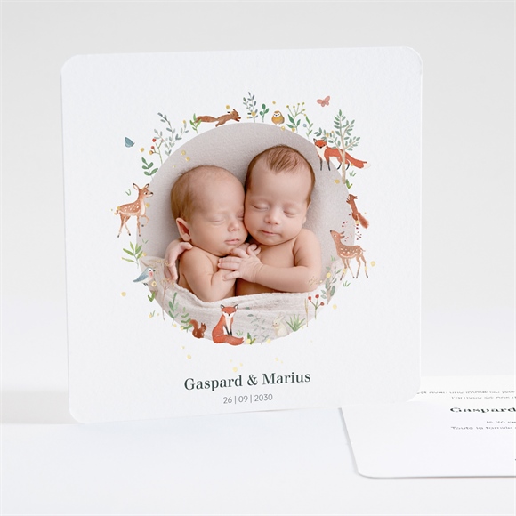 Faire-part naissance jumeaux & animaux dorure