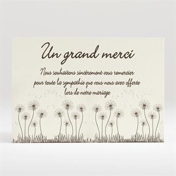 Remerciement mariage sur la balançoire