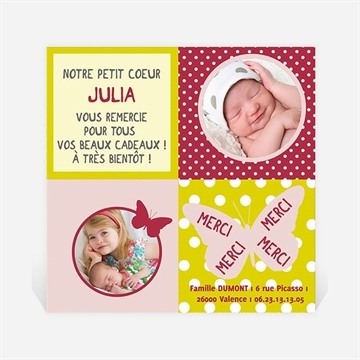 Remerciement naissance cadre papillon