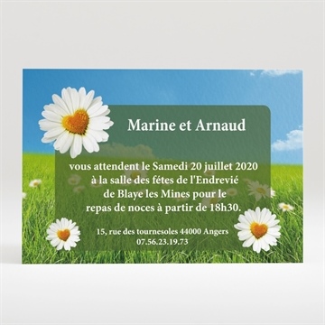 Carton d'invitation mariage notre mariage est dans le pré