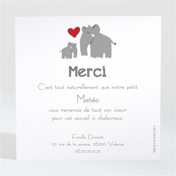 Remerciement naissance famille eléphant