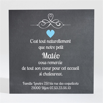 Remerciement naissance petit sorbet