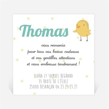 Remerciement naissance petits oiseaux