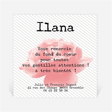 Remerciement naissance dans une rose