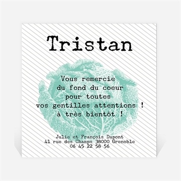 Remerciement naissance dans un chou