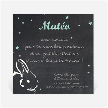 Remerciement naissance petit lapin rond