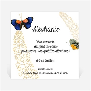 Remerciement naissance photo et papillons