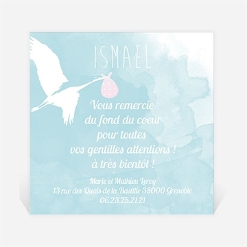 Remerciement naissance livraison par cigogne