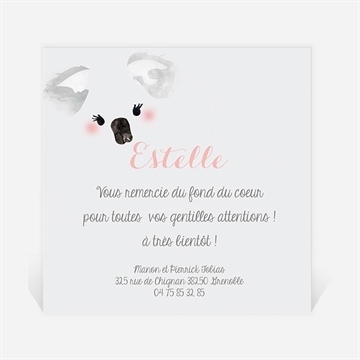 Remerciement naissance petit panda naissance