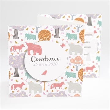 Faire-part naissance motifs animaux pastel